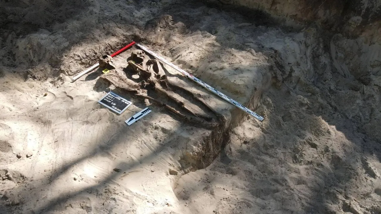 Na terenie byłego obozu NKWD odnaleziono szczątki osiemnastu osób