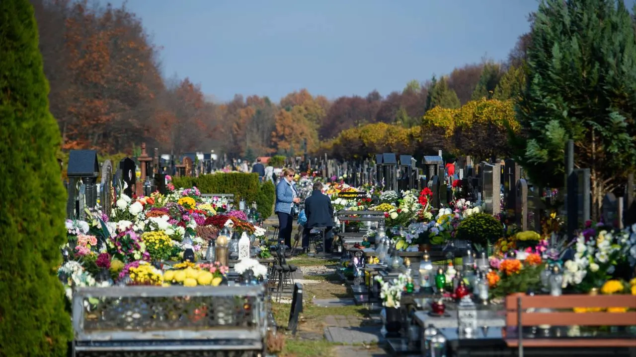 Jaka pogoda na 1 listopada? Obiecująca aura
