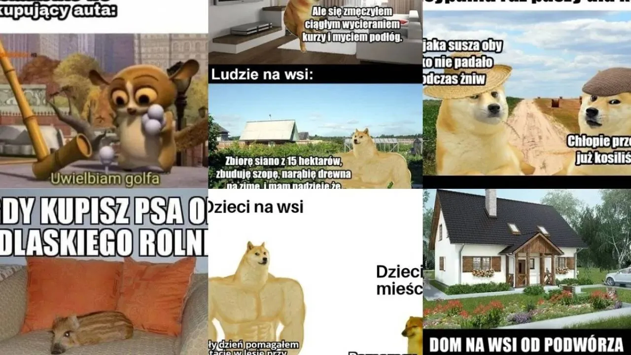 Wieś kontra miasto. I tak się powoli żyje! ZOBACZ MEMY i pośmiej się razem z nami