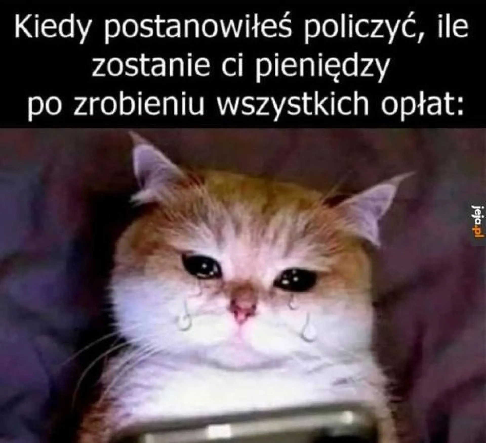 Po opłatach
