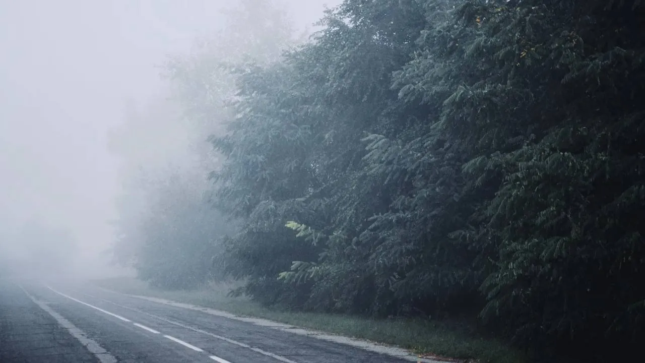 Nadchodząca noc pod znakiem mgieł. Widoczność będzie niska