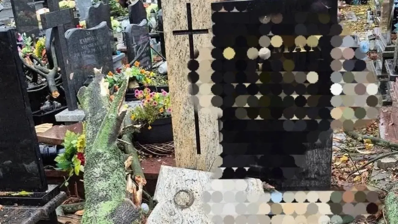 Ulewy i silny wiatr - strażacy mieli pełne ręce roboty. Drzewa łamały się jak zapałki!