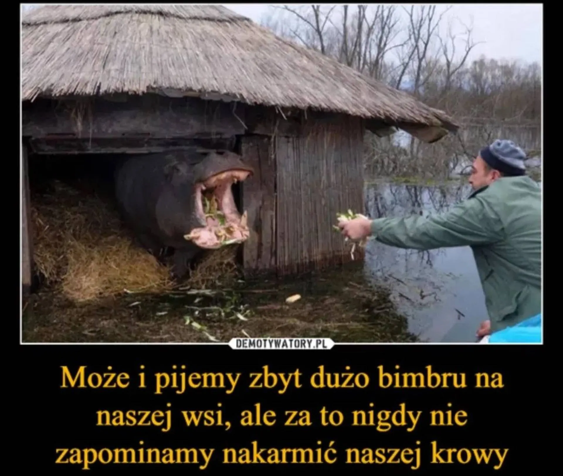 To jest życie