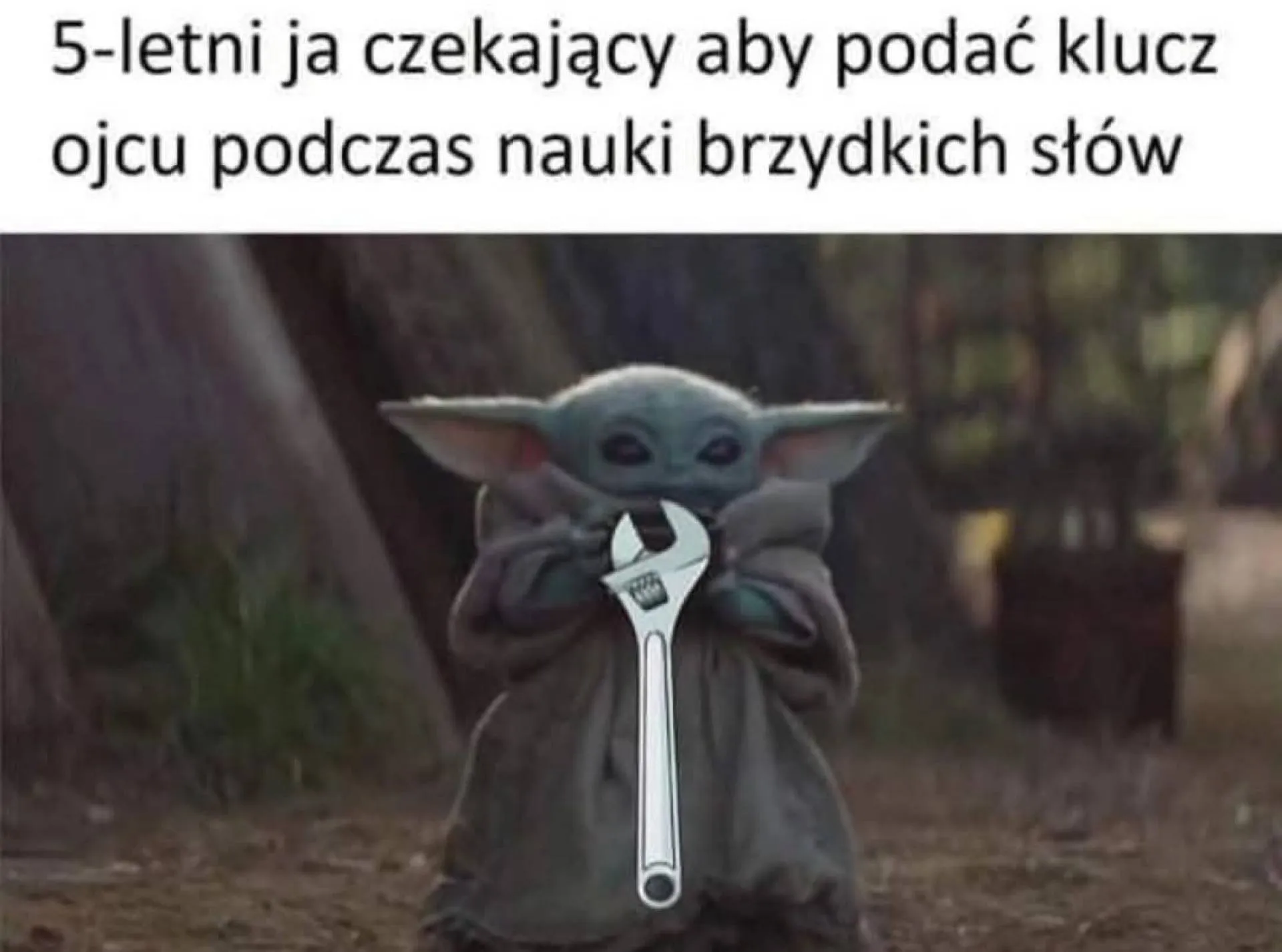 Nie ma się co wychylać
