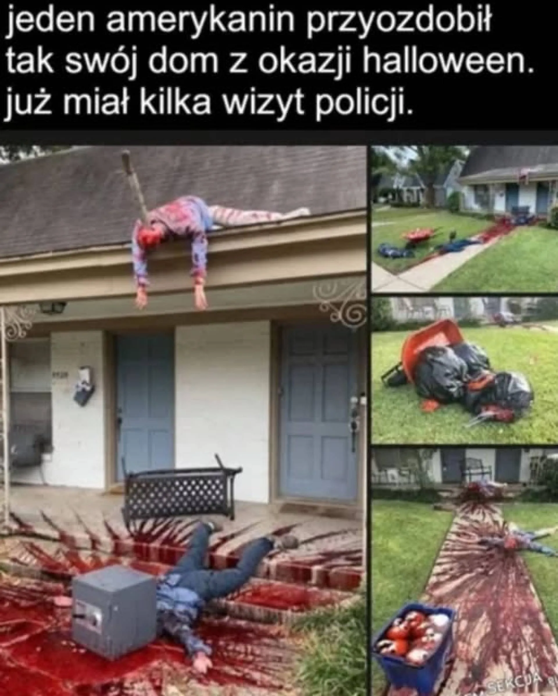 Przesadził