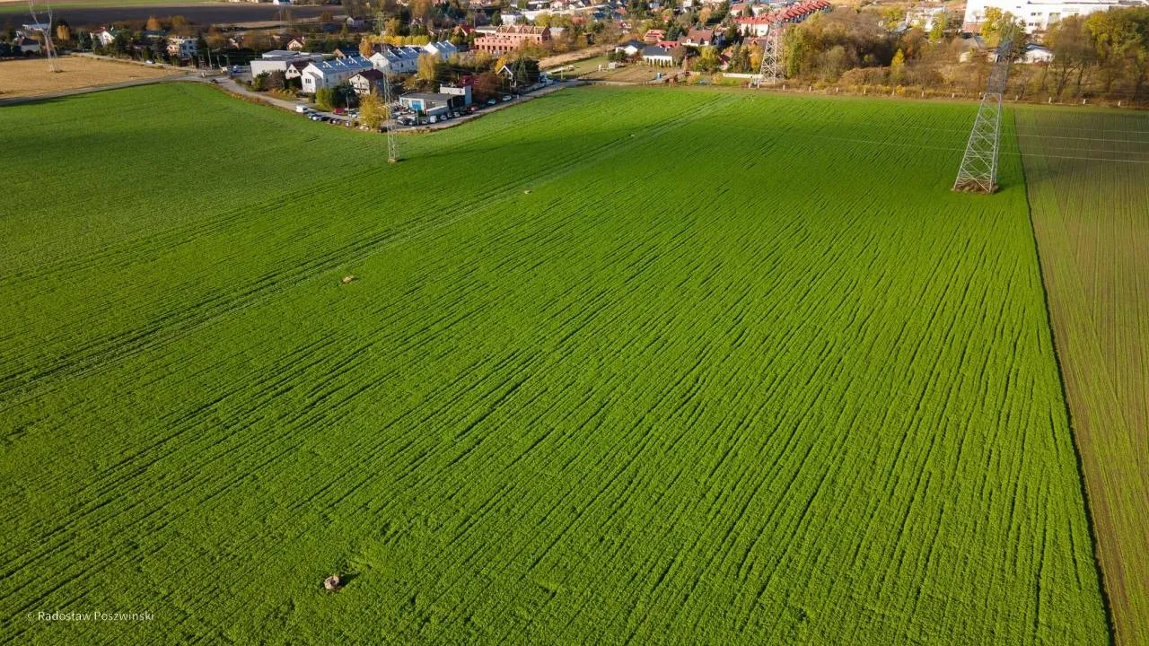 Czarnek o działce w Macierzyszu: Tego gruntu nie da się odkupić na potrzeby centrum edukacji