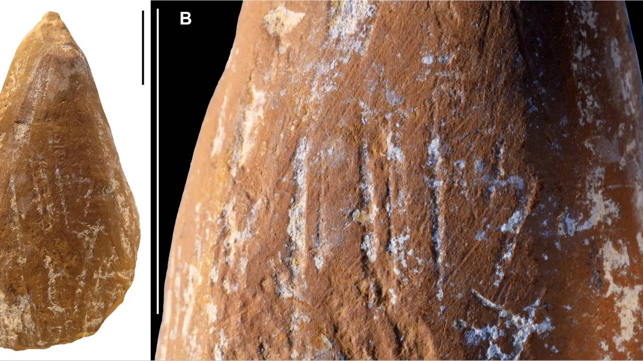 Kredki neandertalczyków