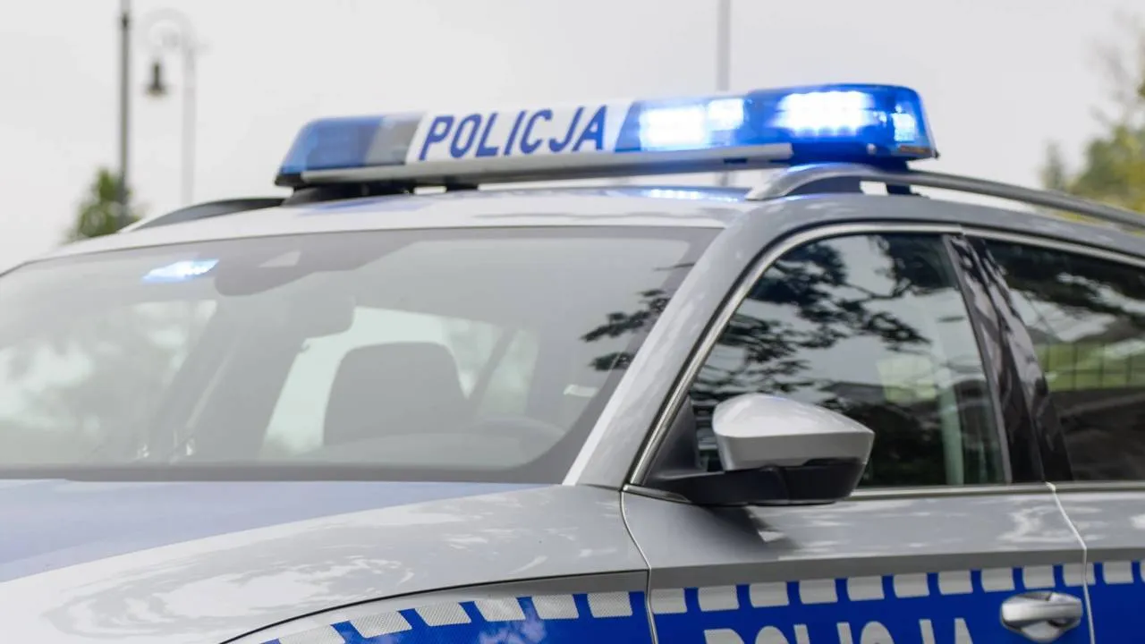 Strzelił w stronę policjantów i... uciekł do lasu