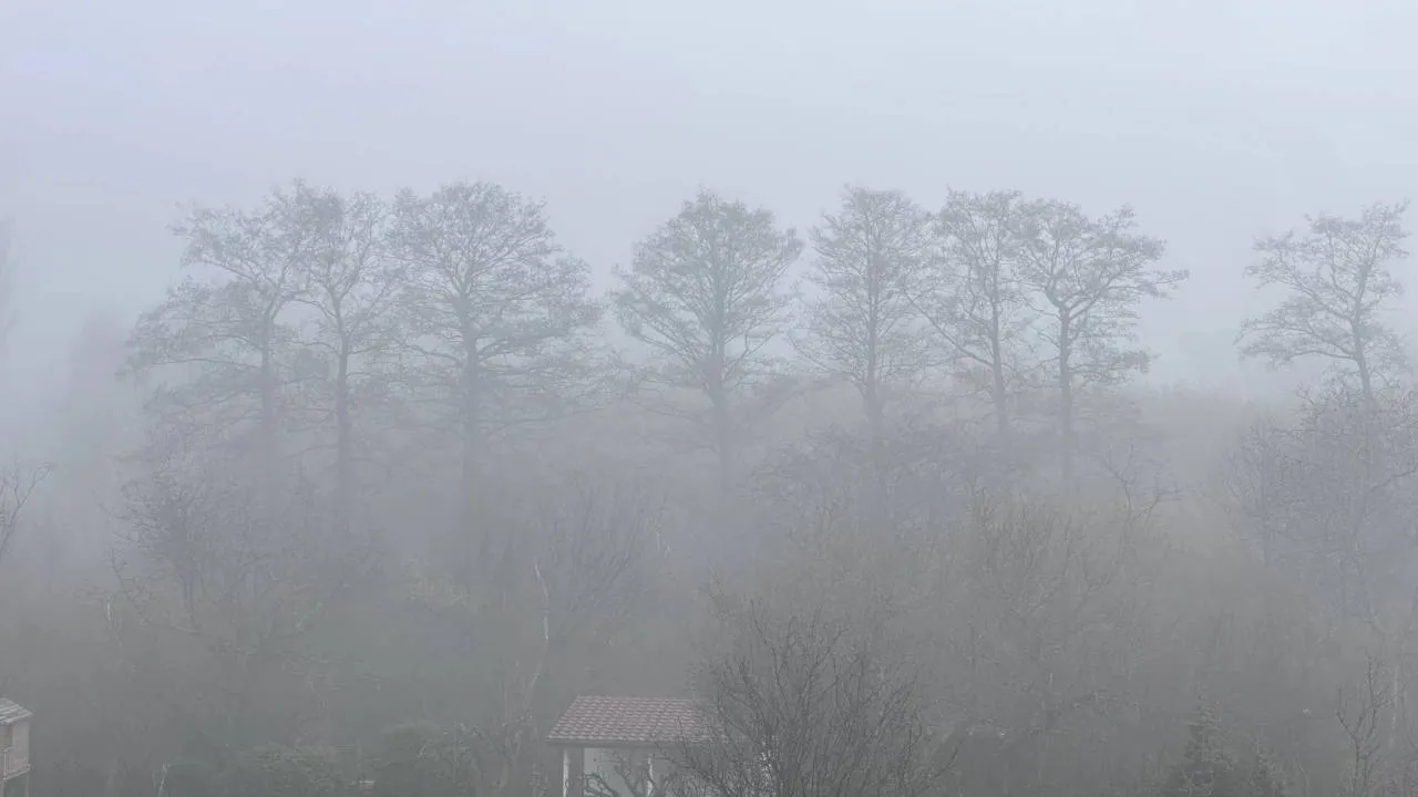Gęste mgły nad Polską. IMGW ostrzega te województwa