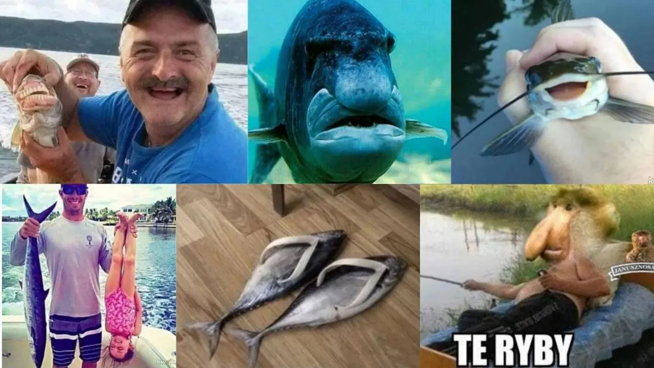 Wędkarstwo to styl życia. Najlepsze MEMY o wędkarzach