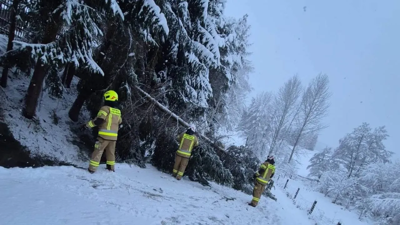 Atak zimy na Podkarpaciu: 75 tys. domów bez prądu, niemal 800 interwencji strażaków [ZDJĘCIA]