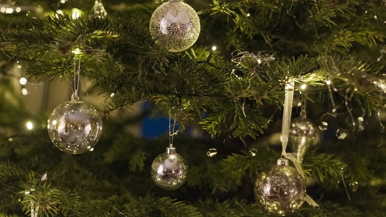 Jego świąteczny hit znali wszyscy. Nie żyje Chris Rea