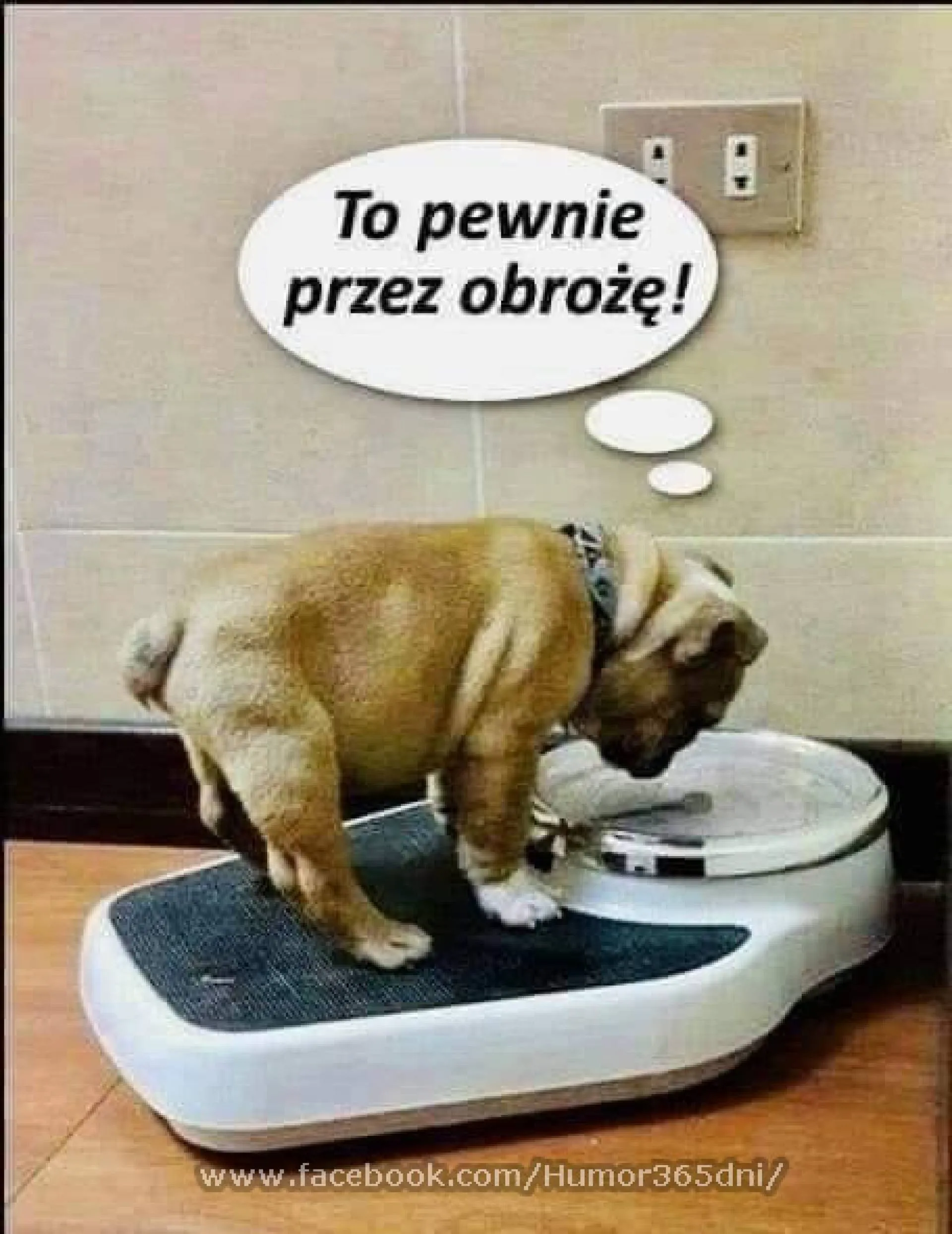Obroża najcięższa