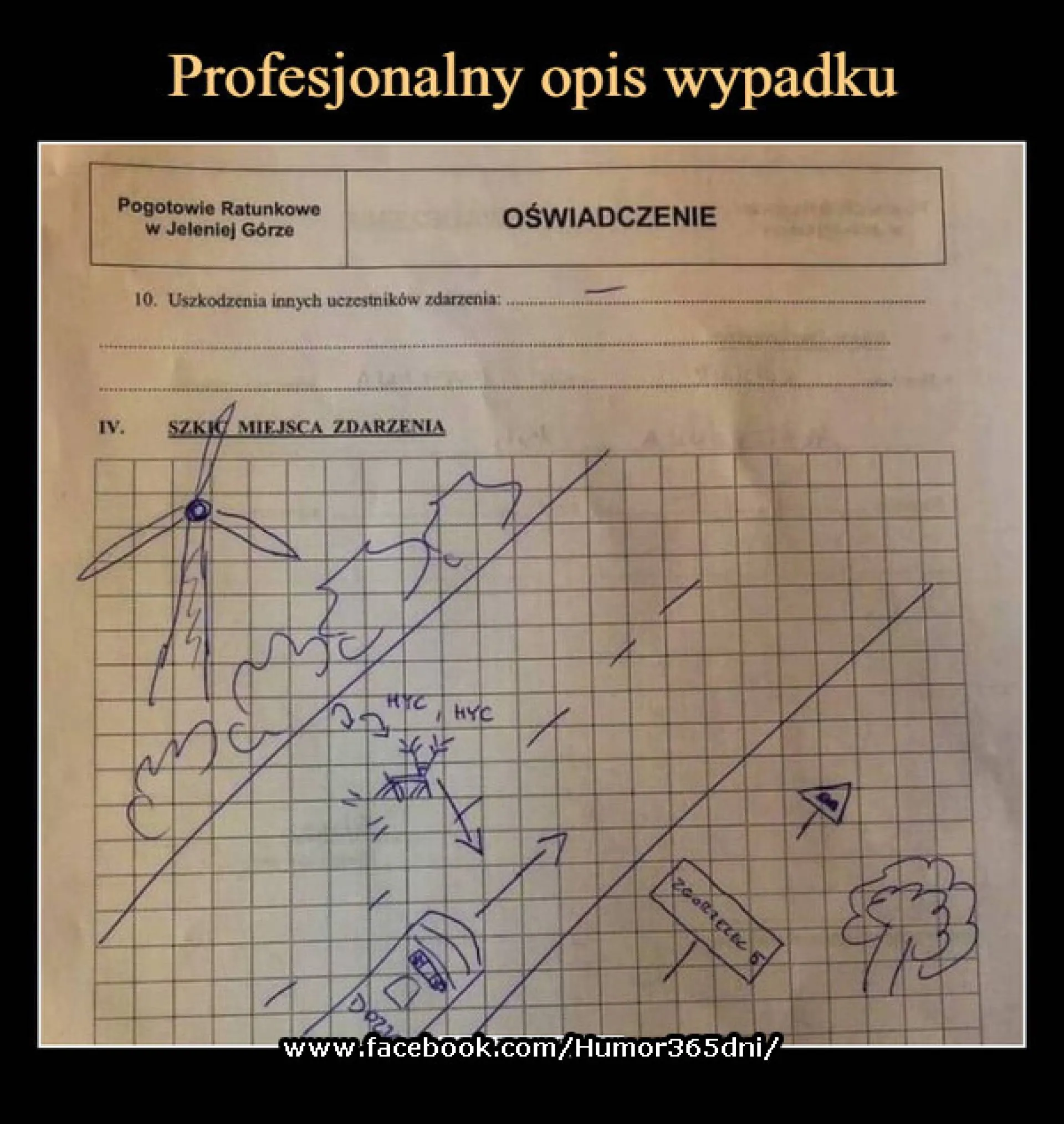 Skrupulatny kierowca