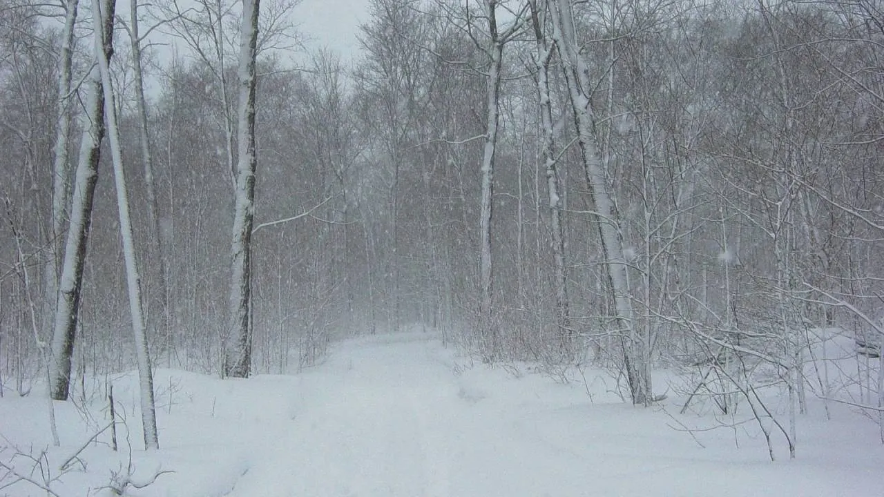 Intensywne opady śniegu. Ostrzeżenie dla trzech województw