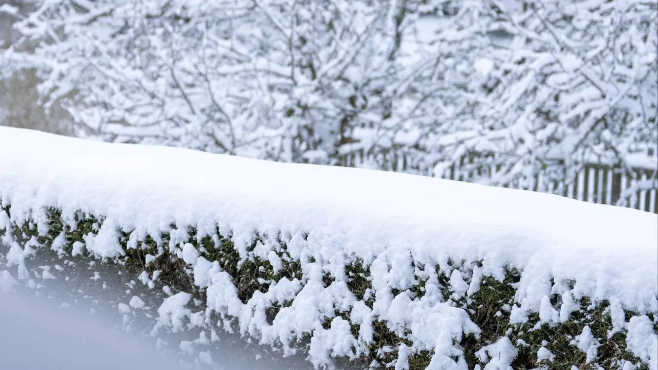 Spadnie jeszcze więcej śniegu. Sprawdź - gdzie [PROGNOZA]