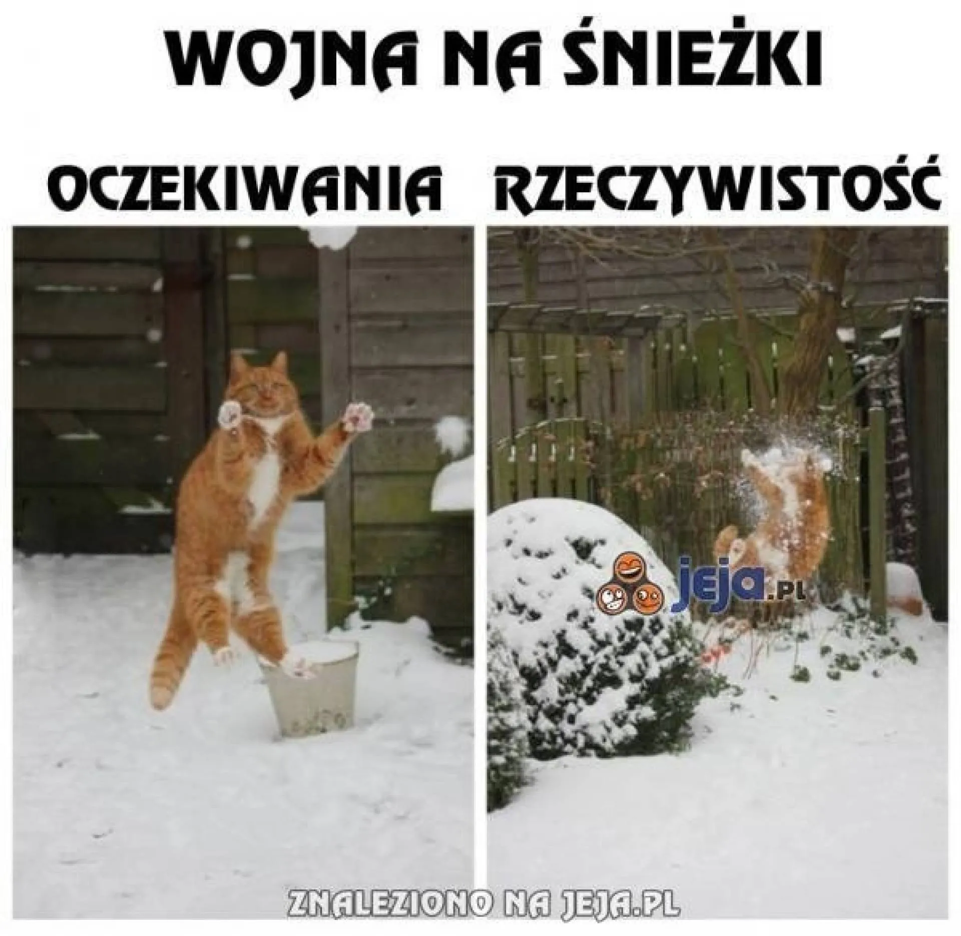 Śnieżki