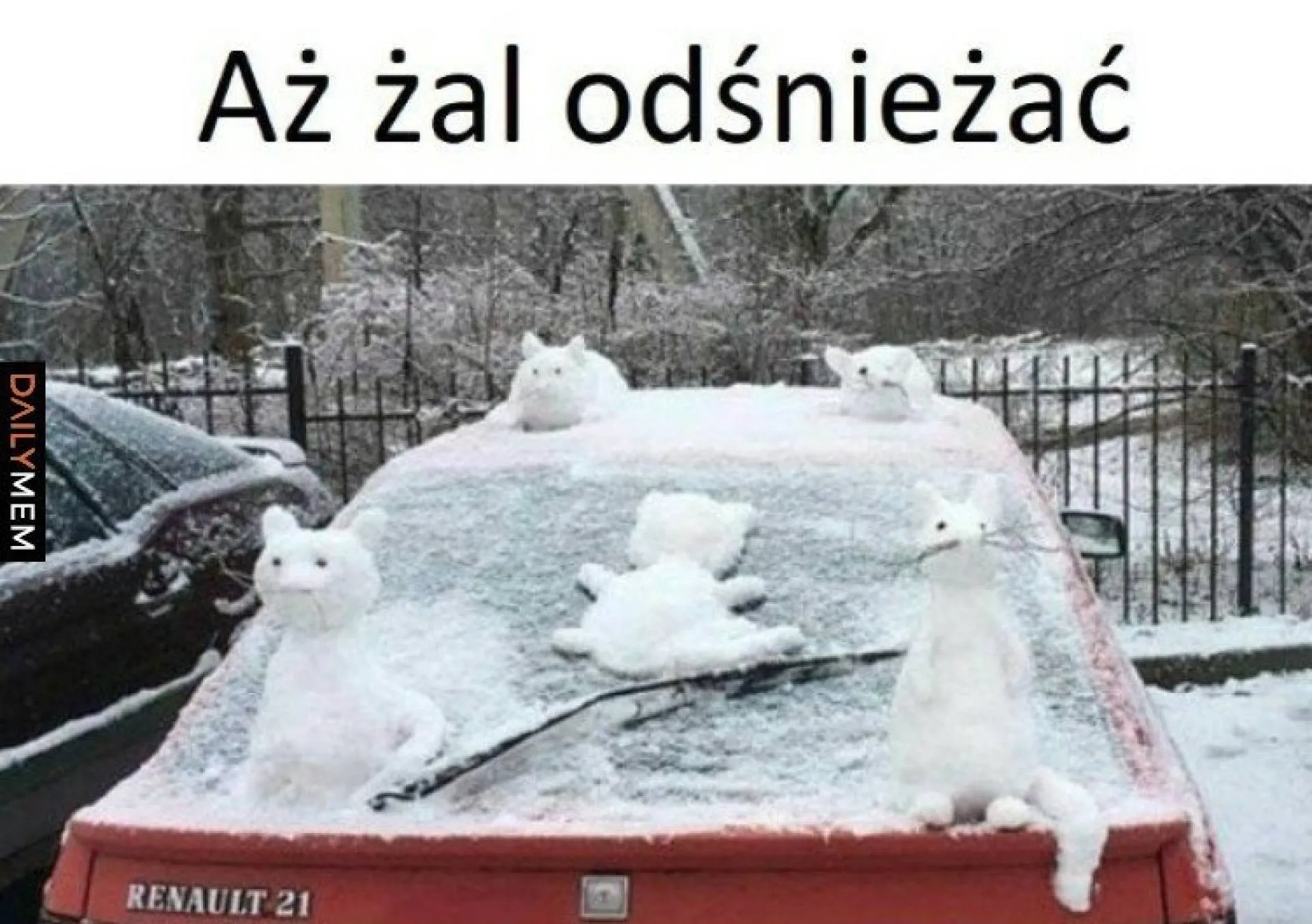 Aż żal
