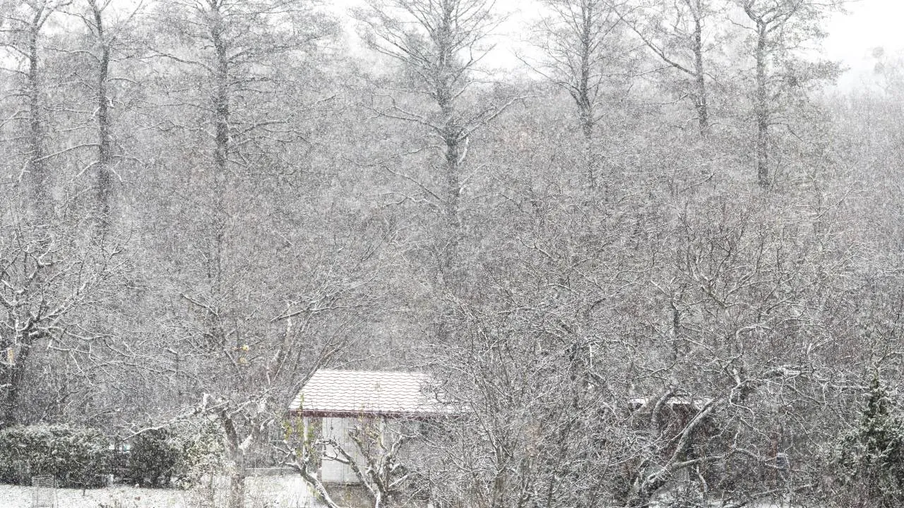 Lubelskie pod śniegiem. Trudna sytuacja na drogach
