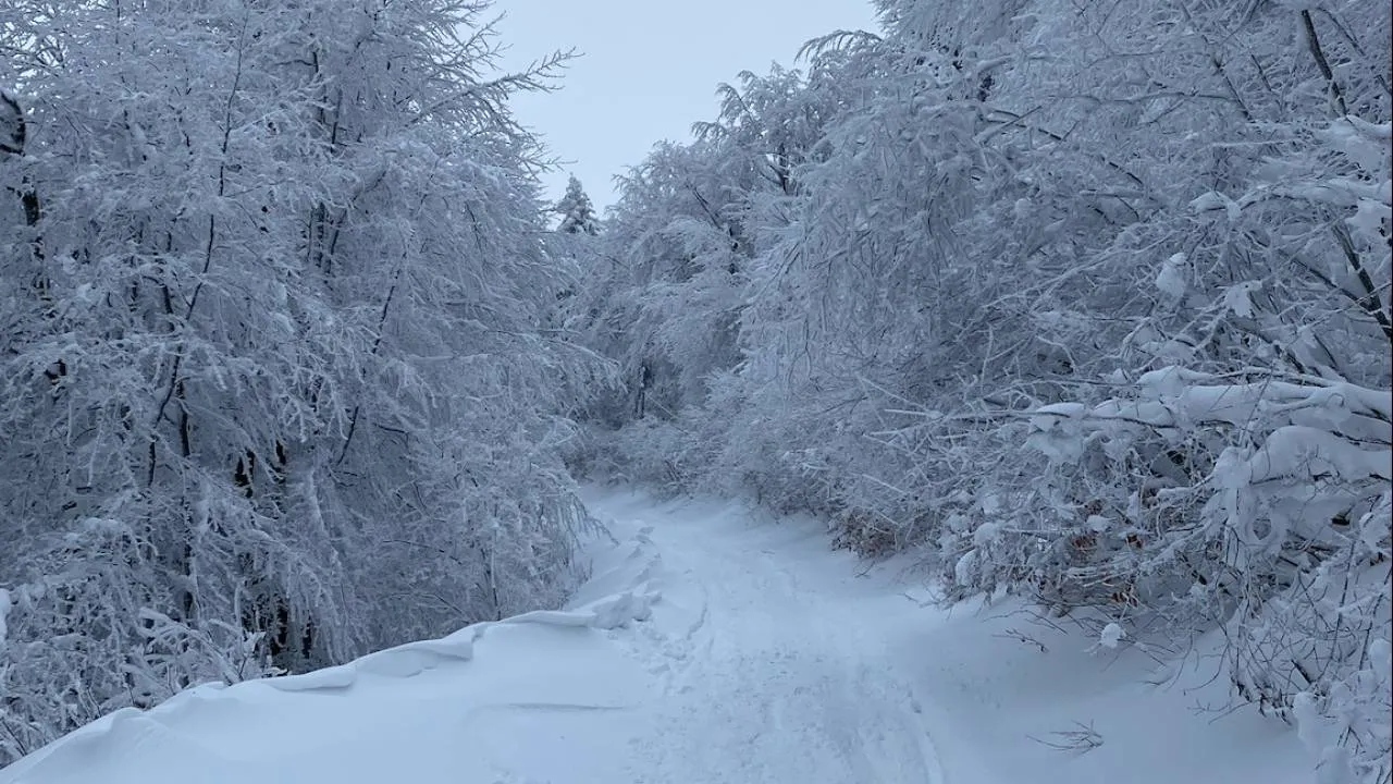 Ile śniegu to dużo? Polska na tle najbardziej zaśnieżonych miejsc świata