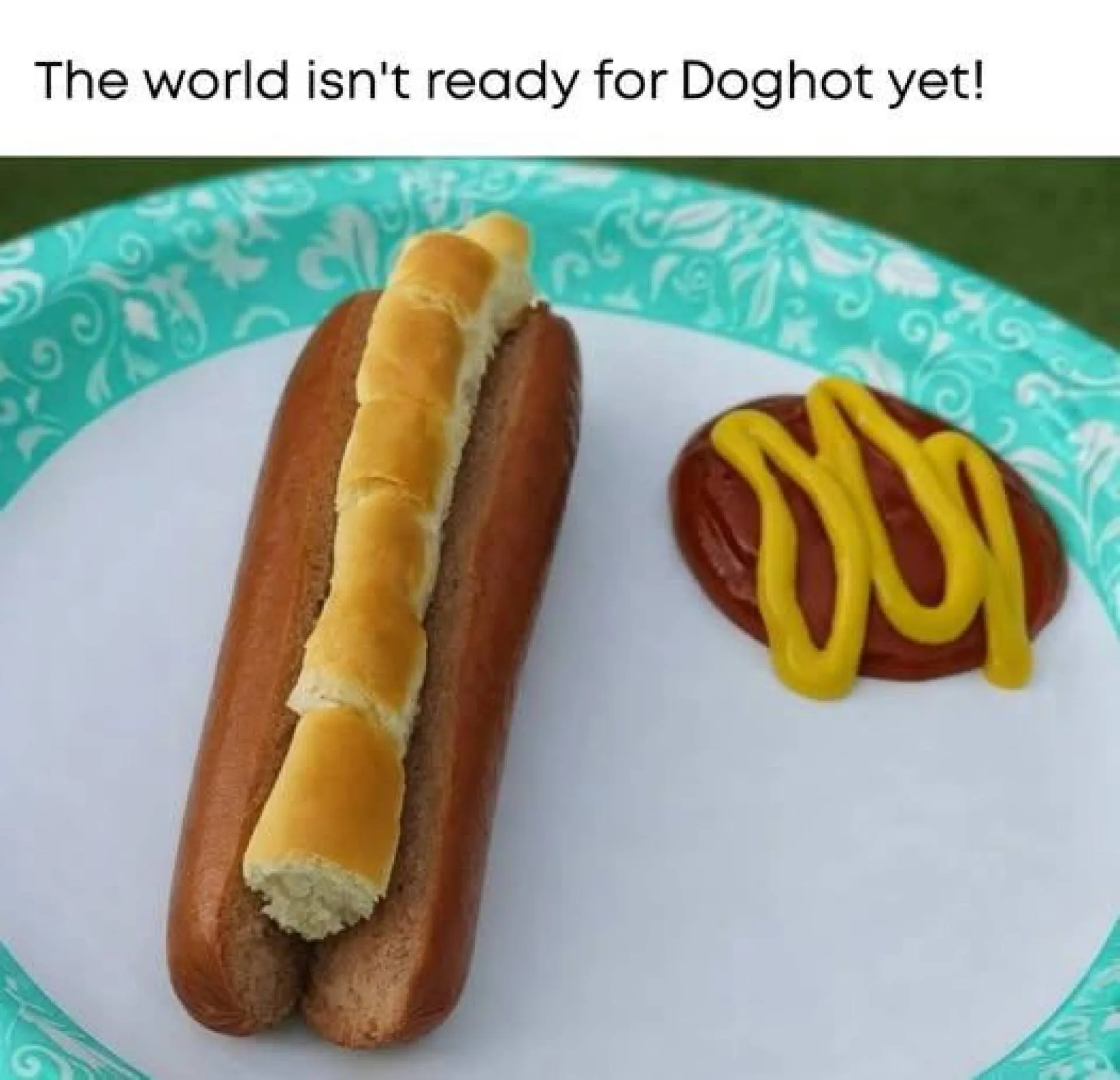 Dog hot
