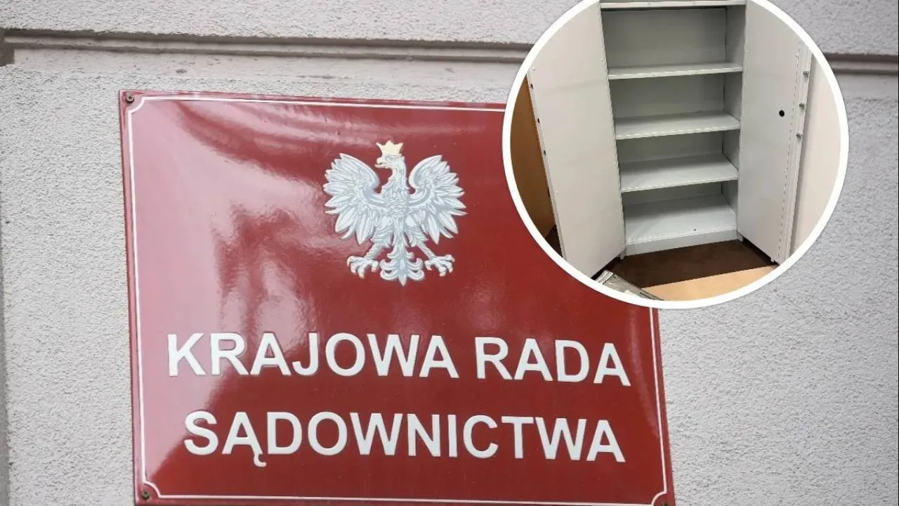 Gdy pizza wygrywa z konstytucją. Katarzyna Gójska o potrzebie stanowczych działań wobec bezprawia