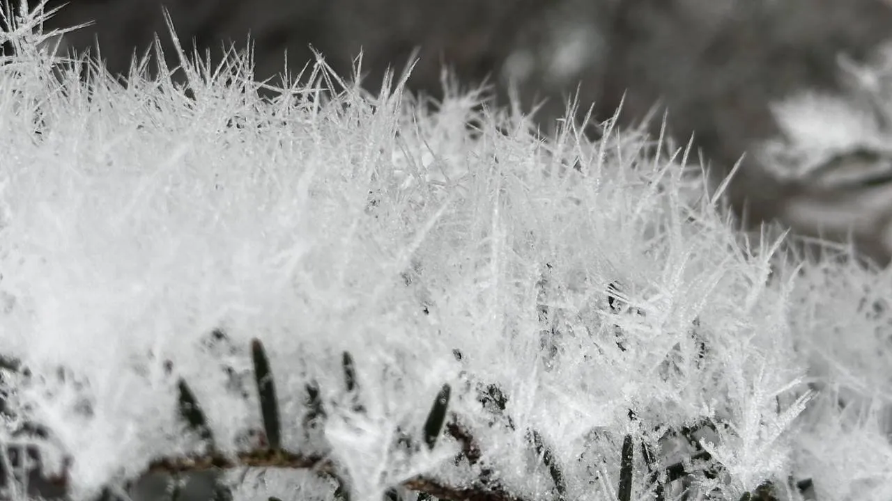 Silny mróz i gołoledź. IMGW aktualizuje ostrzeżenia [POGODA]