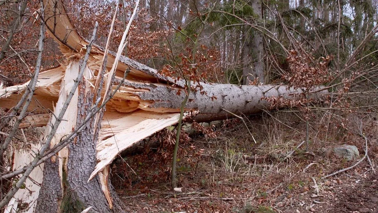 Orkan Kristin paraliżuje kraj. Nie żyje 10 osób