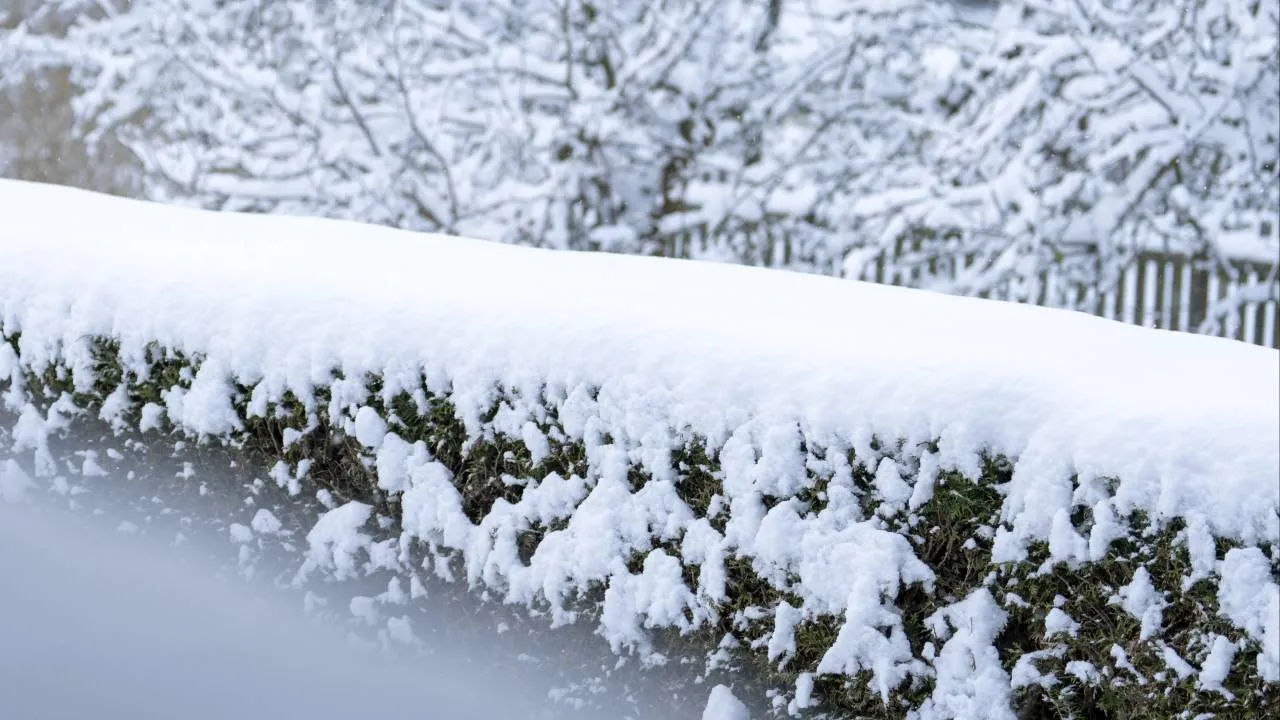 Ponowne uderzenie zimy! Ostrzeżenie IMGW przed śniegiem