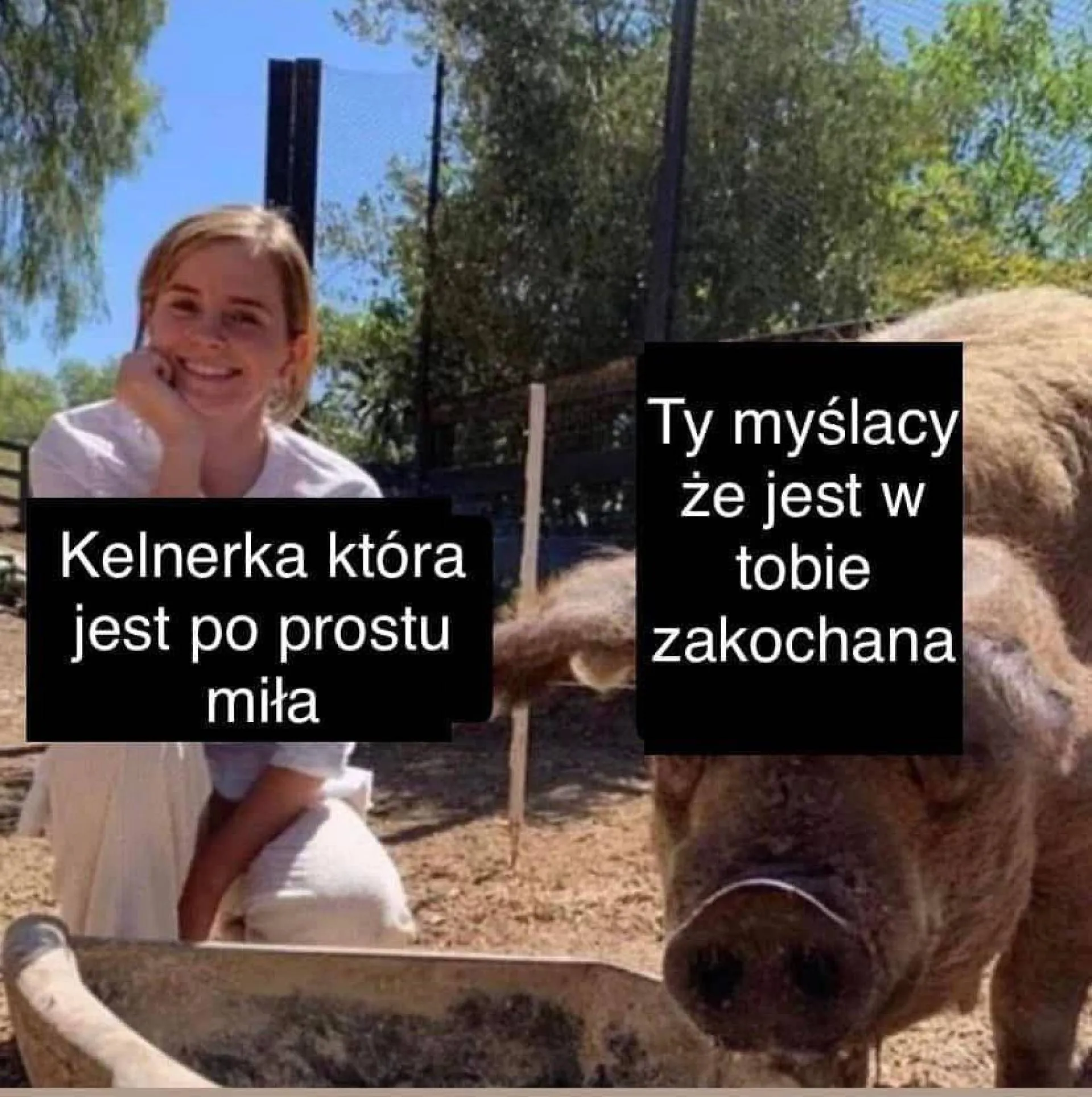 A może jednak?