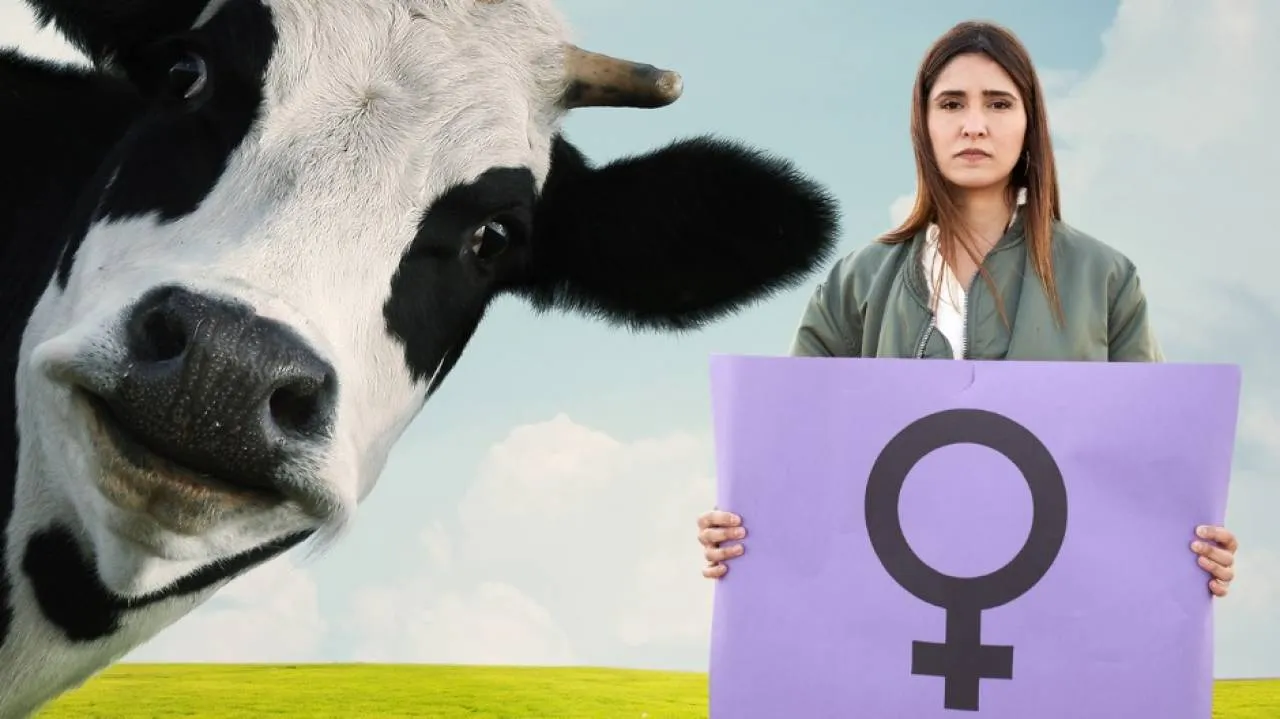 Dzień Kobiet, a feministki ubolewają nad losem krów. Grzmią o "kulturze gwałtu"