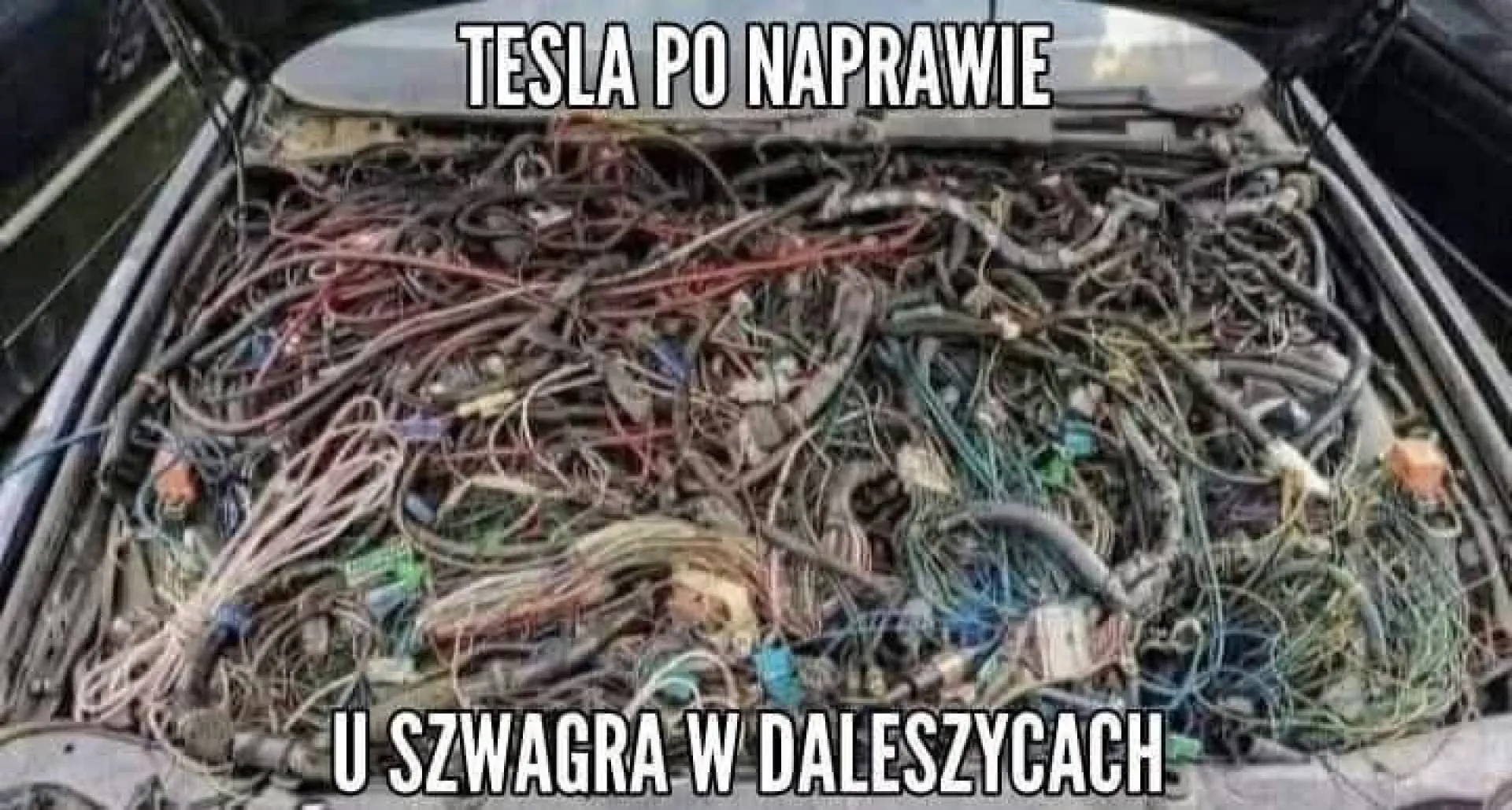 Jeździć obserwować