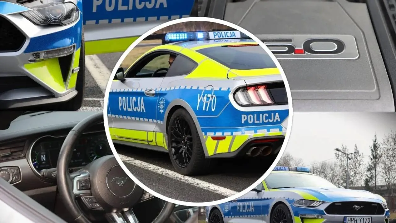 Legendarny Ford Mustang już w barwach policji. 5 sekund do "setki". ZOBACZ ZDJĘCIA