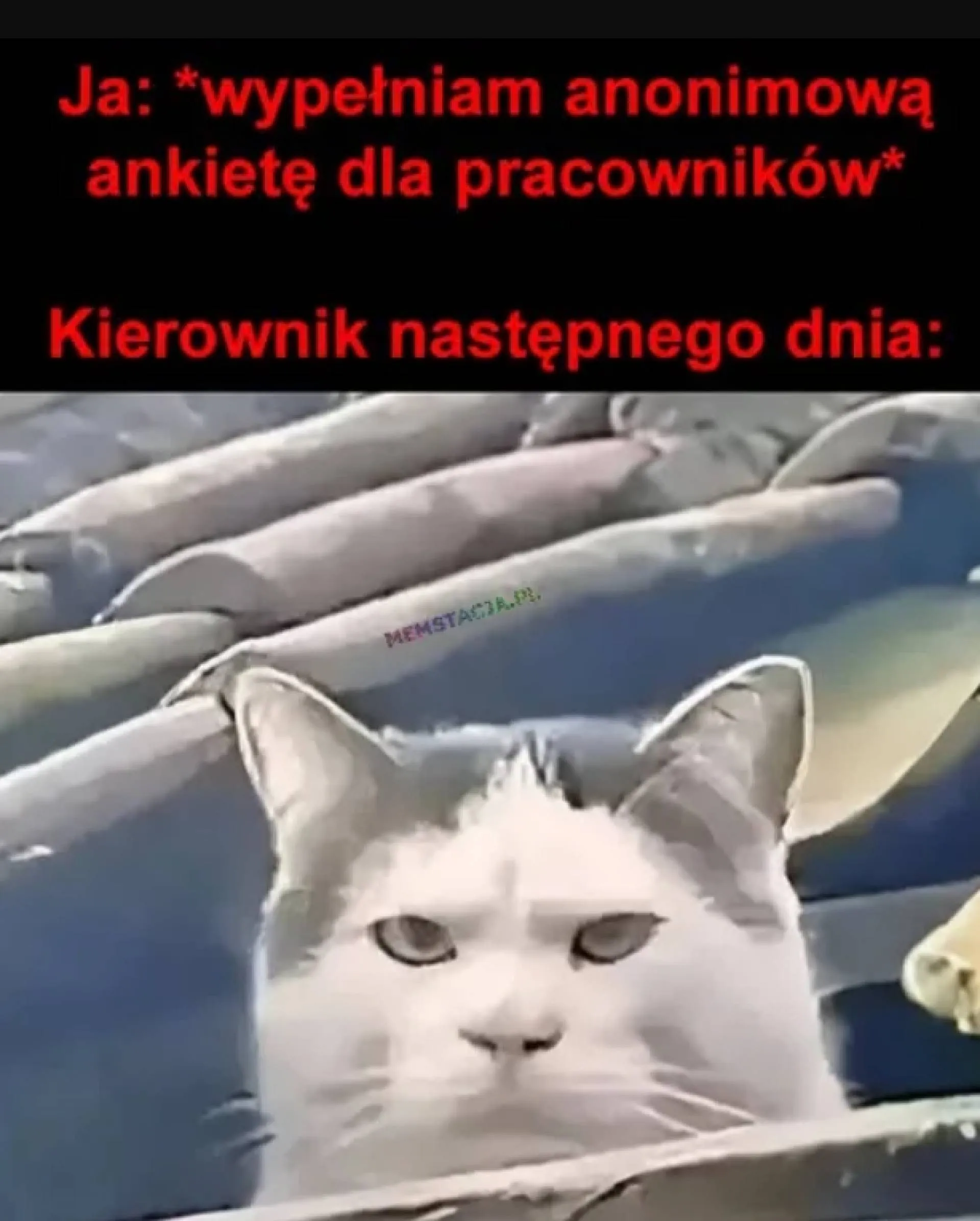 Kierownik