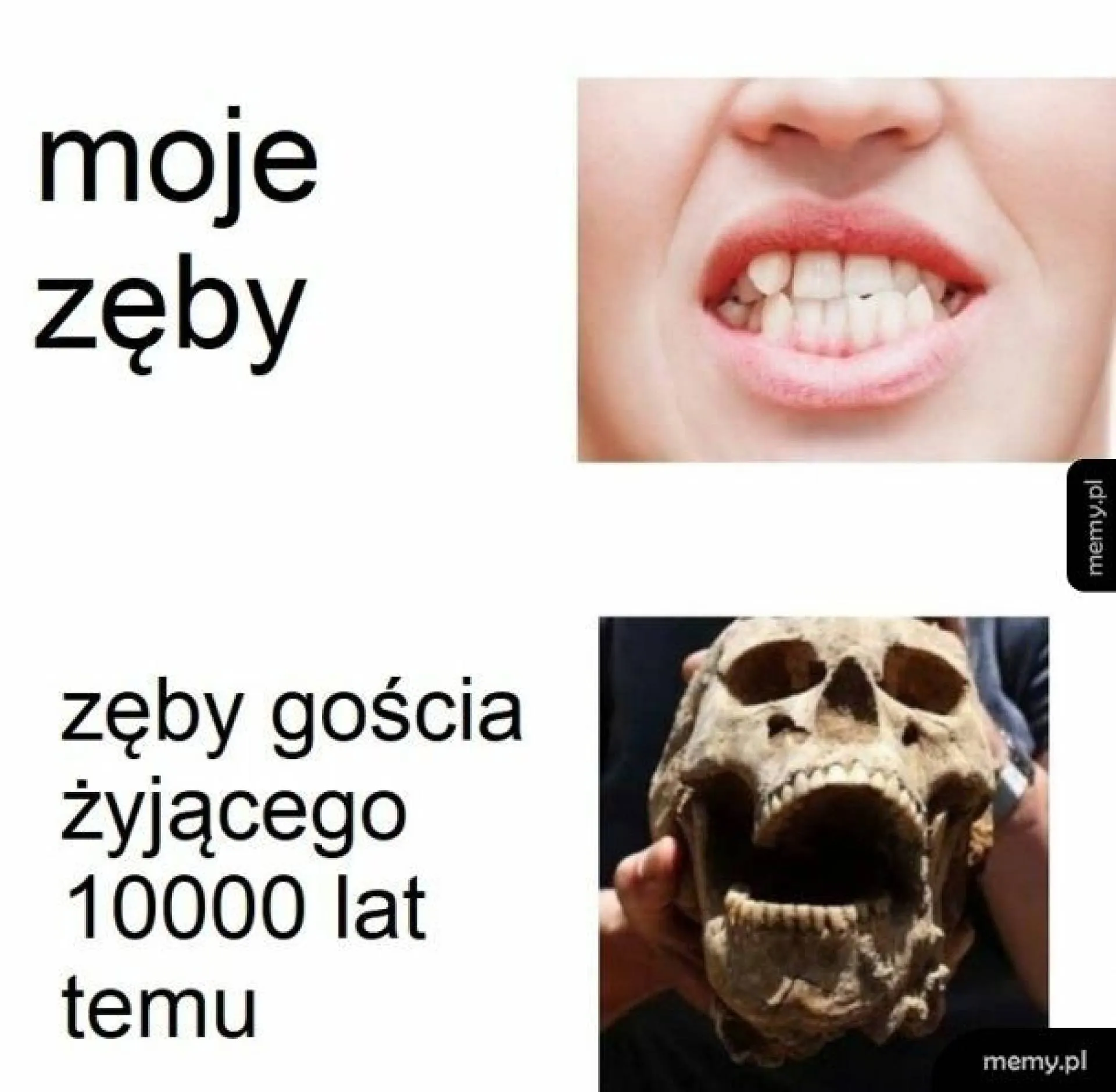 Zęby