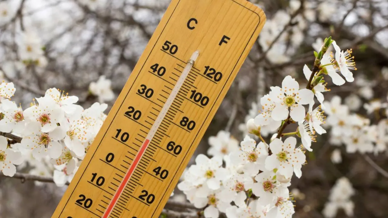 Słońce, mróz i deszcz. IMGW ostrzega 10 województw