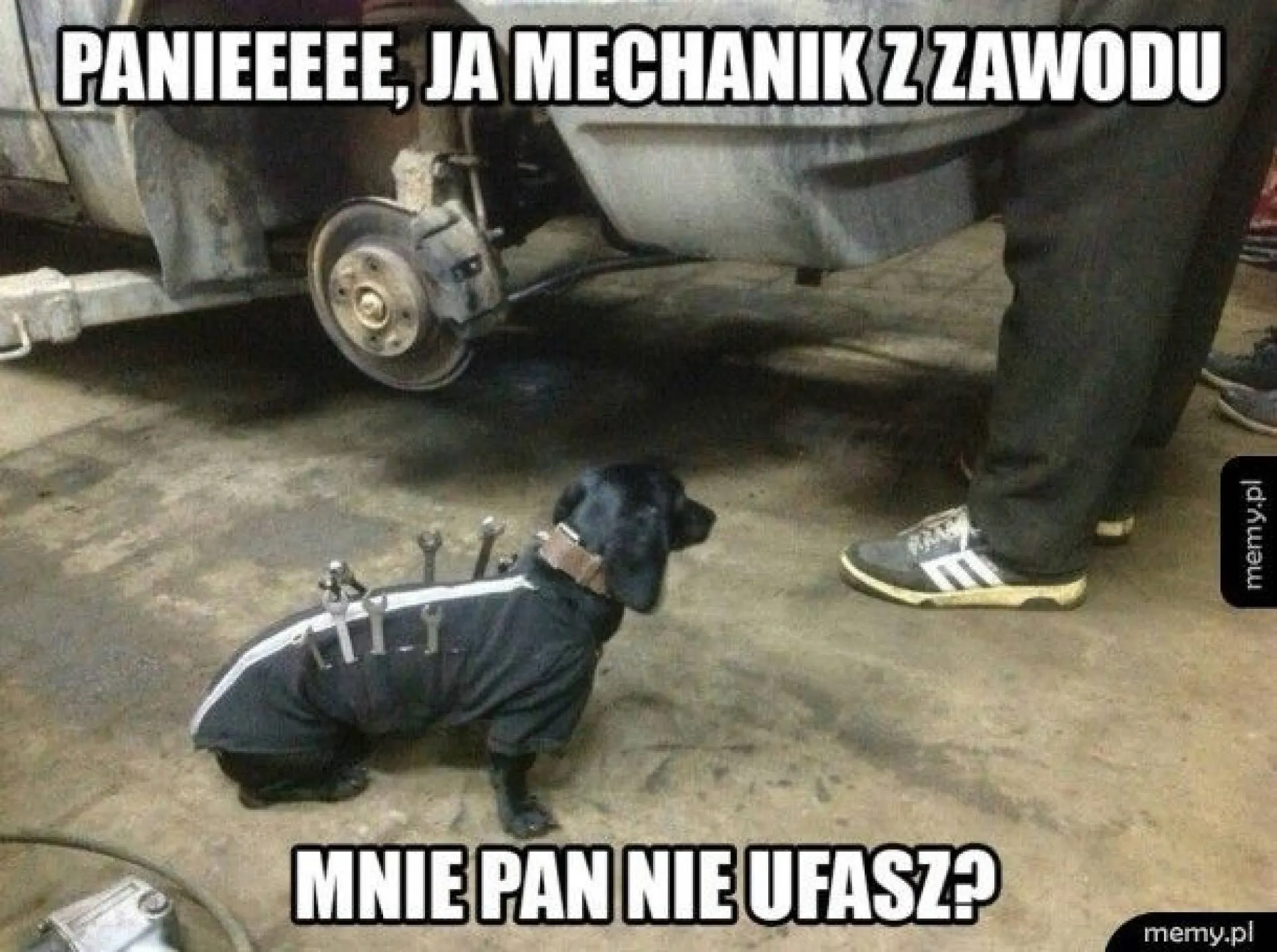 Mnie pan nie ufasz?