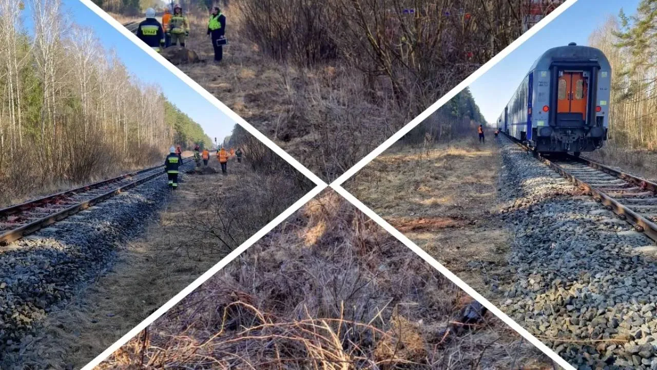 Pociąg "Żubr" zderzył się... z żubrami. Służby ratunkowe podsumowują akcję. ZOBACZ ZDJĘCIA