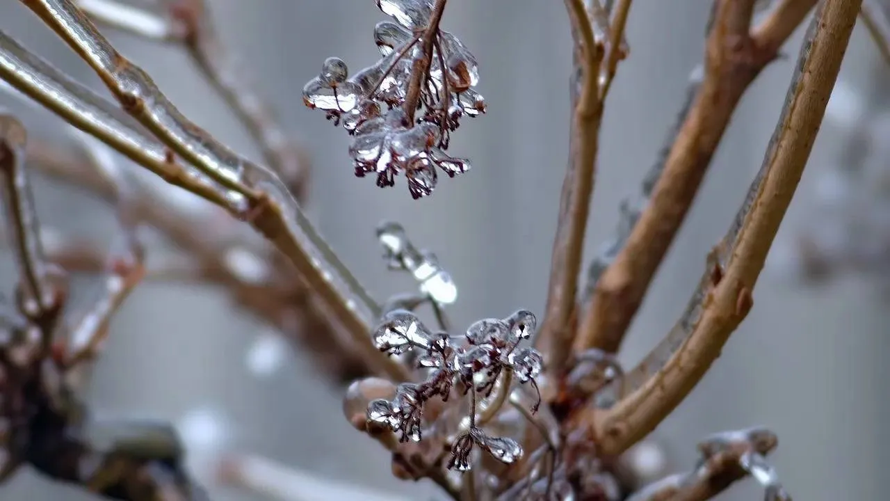 Wiesz, jak zajać się ogrodem po zimie? QUIZ/PORADNIK