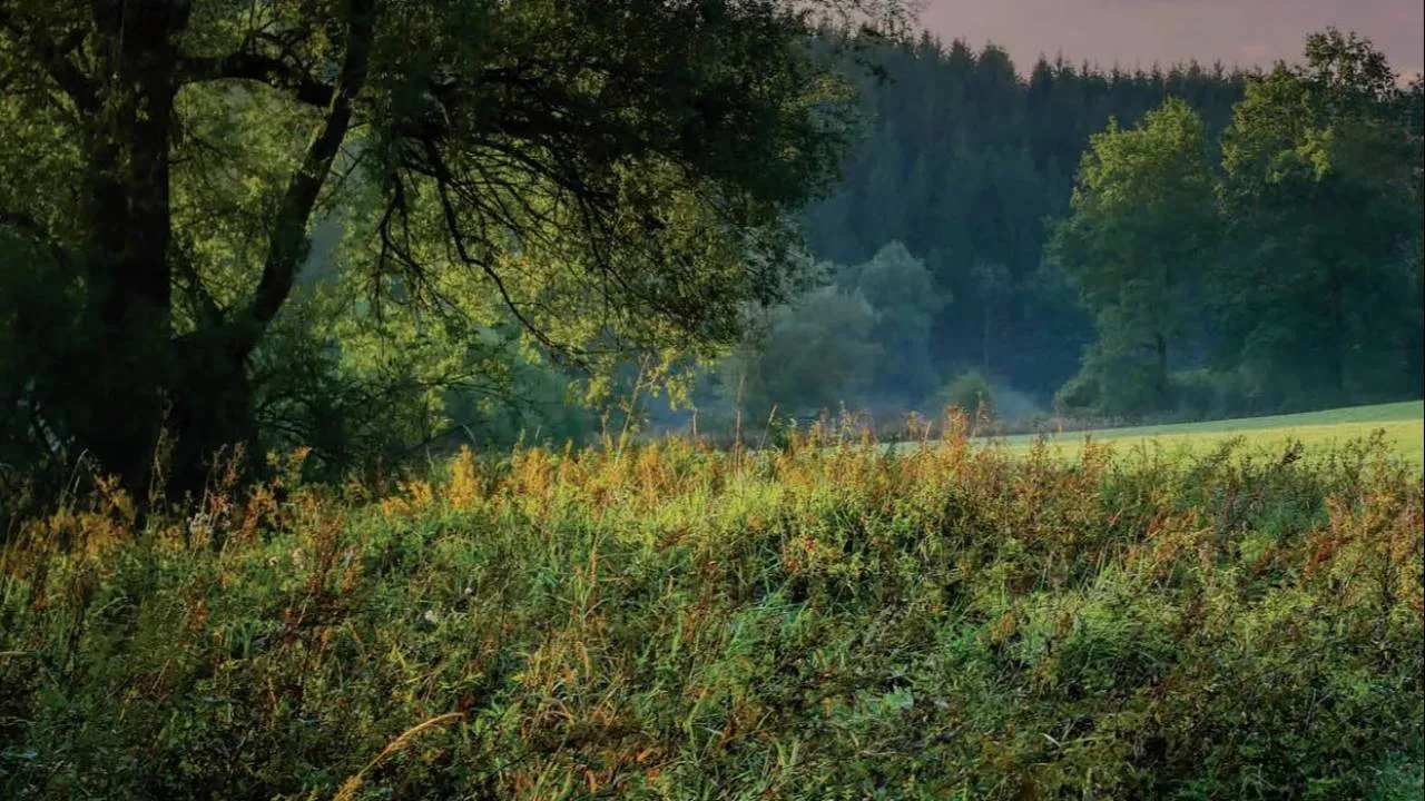 Tragedia podczas polowania. Myśliwy śmiertelnie postrzelił kolegę