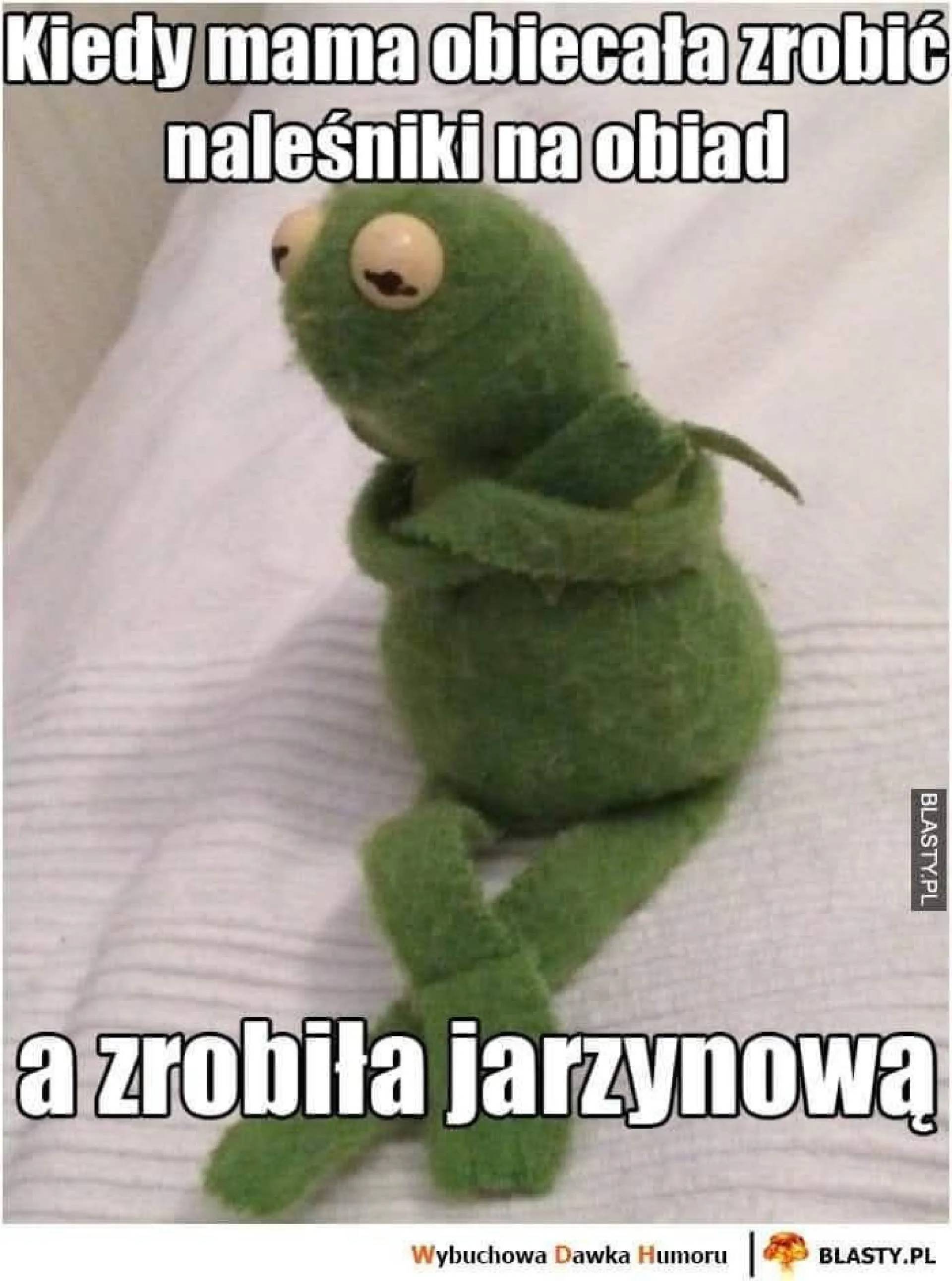 Zniewaga