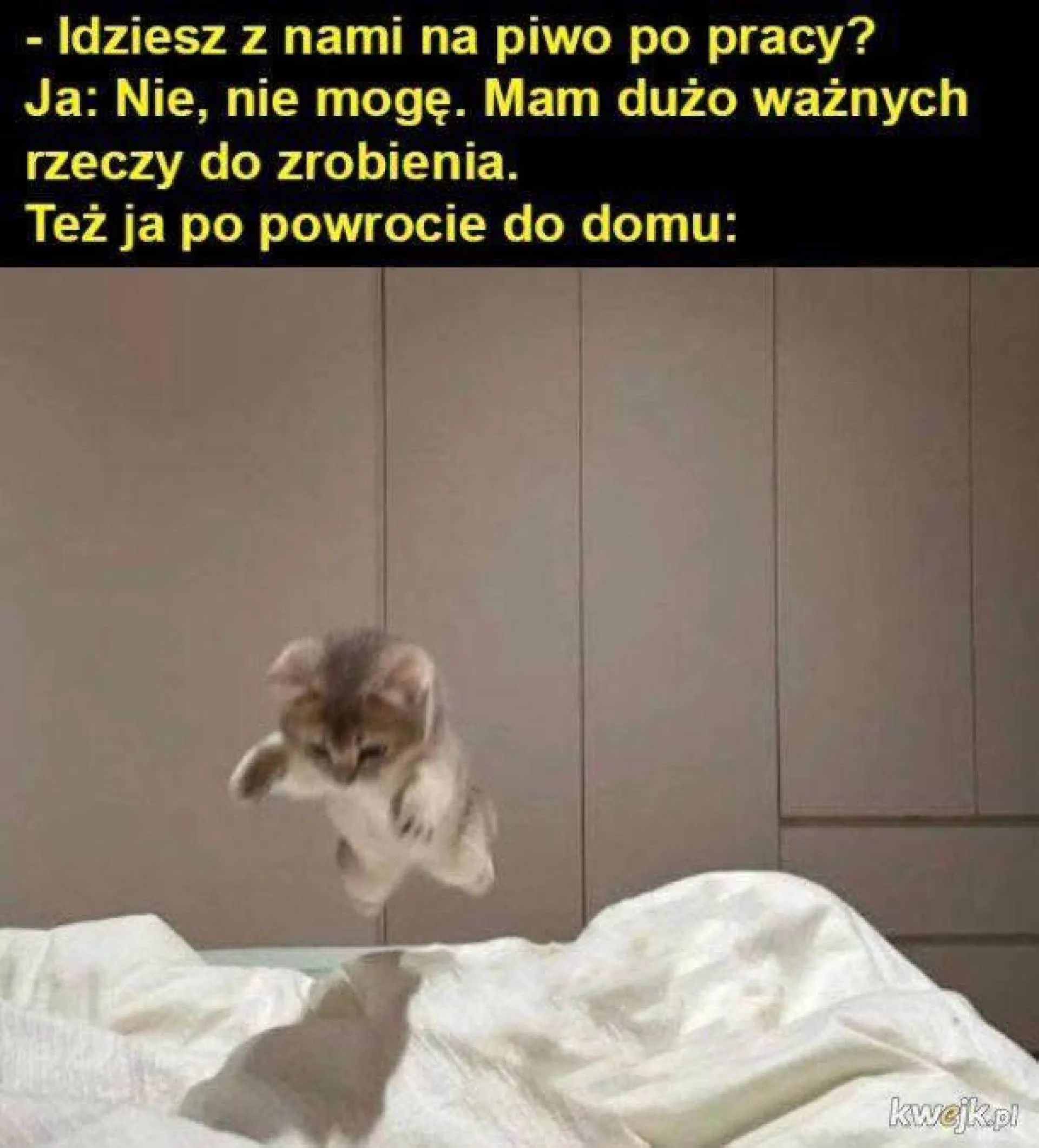 Plany