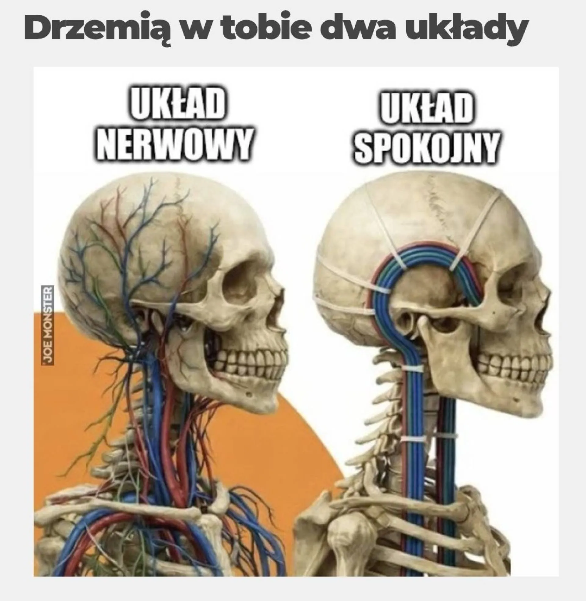 Układy