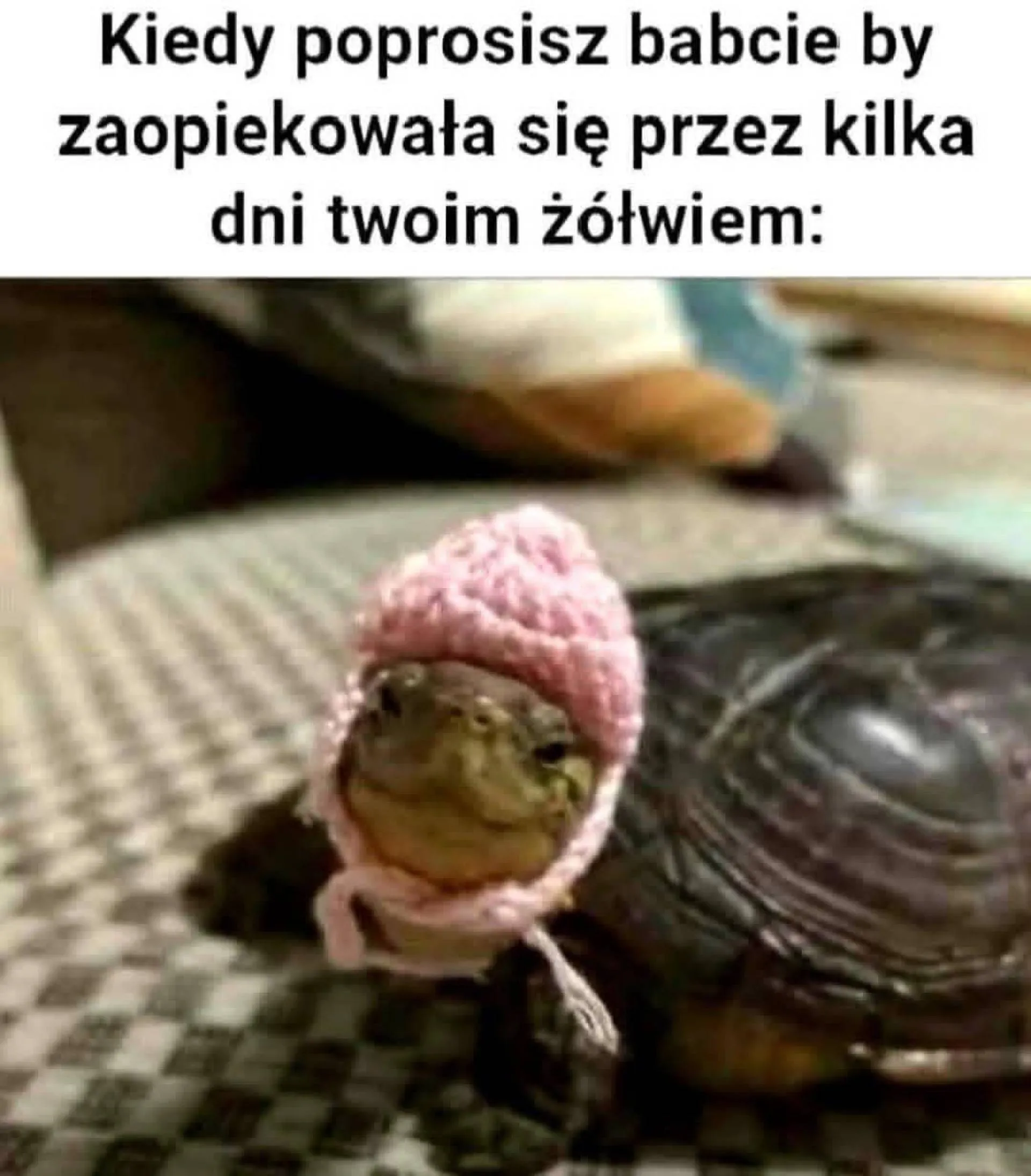 Babcia