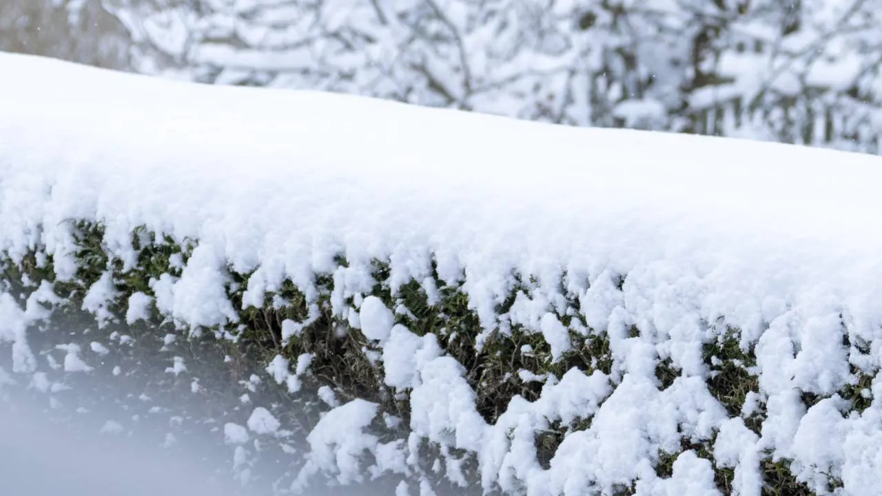 Weekendowy powrót zimy. Śnieg i mróz w wielu regionach [PROGNOZA]