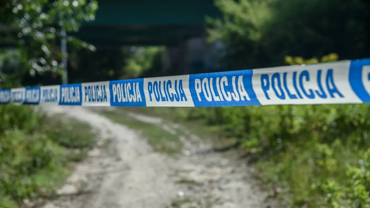 Niezidentyfikowany obiekt w lesie niedaleko Mińska Mazowieckiego. Służby badają sprawę