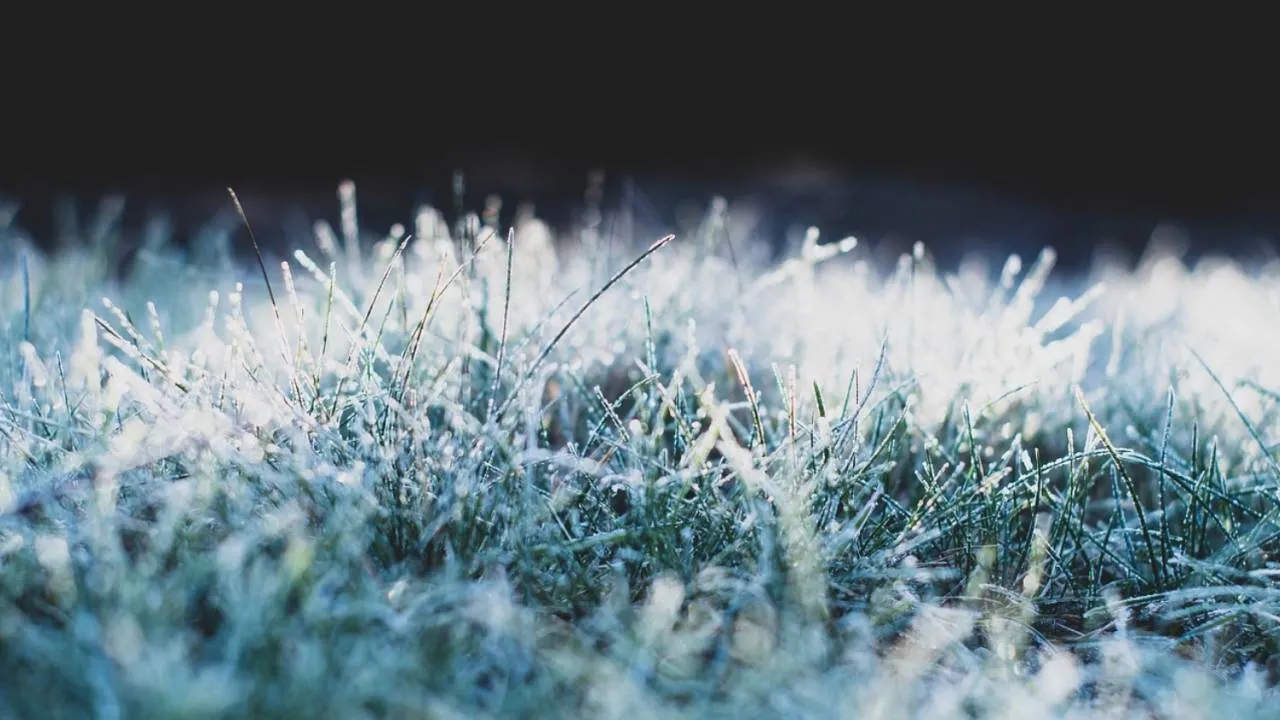 Zima wcale nie jest w odwrocie. Nadchodzą minusowe temperatury