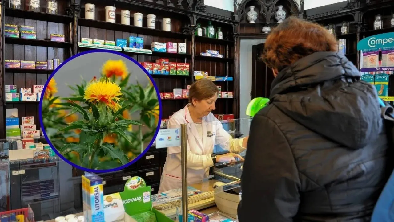 Wcale nie oliwa z oliwek. Jest lepszy i tańszy olej dla seniorów