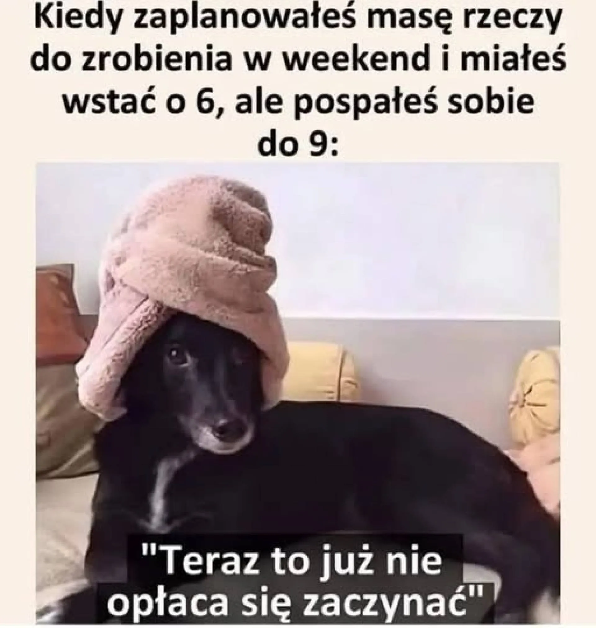 Nie opłaca się