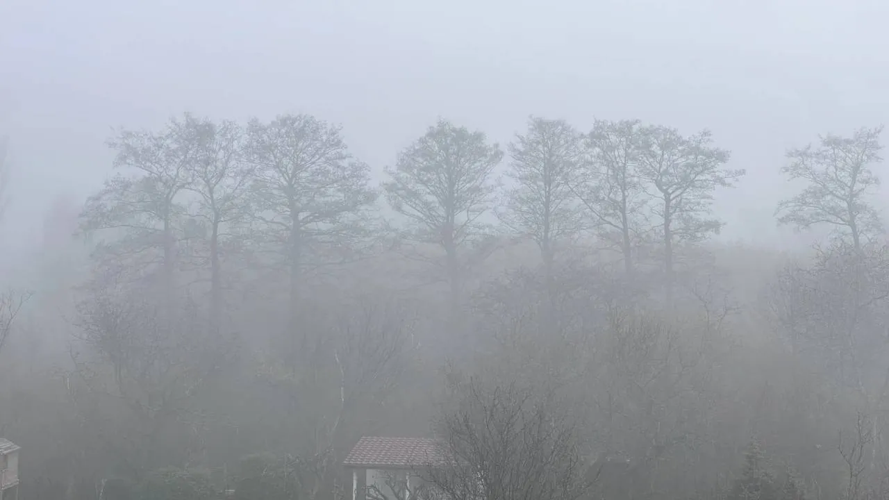 Nadchodzą mgły, przymrozki i opady śniegu. IMGW ostrzega [PROGNOZA]